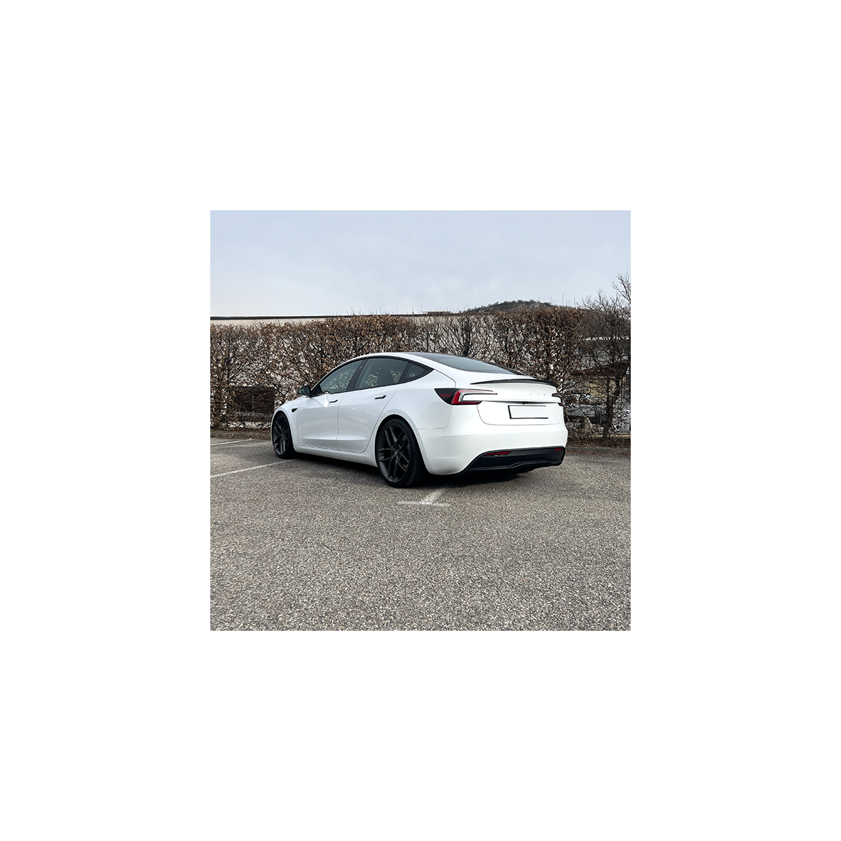 Alerón Performance - Tesla Model 3