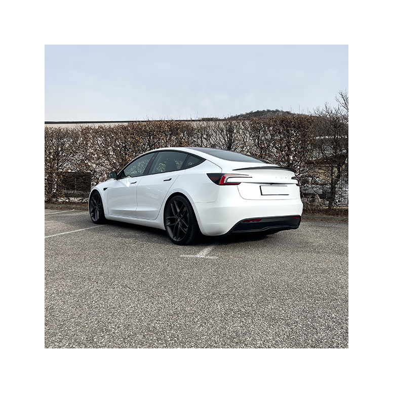 Alerón Performance - Tesla Model 3