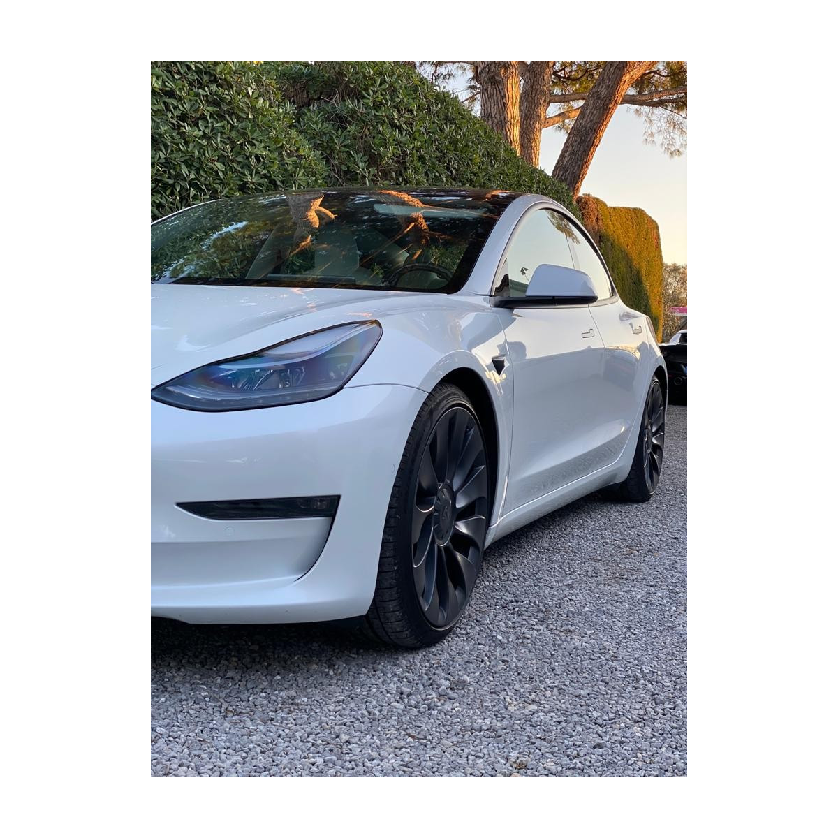 Tesla Krótkie sprężyny AST SUSPENSION dla Model Y