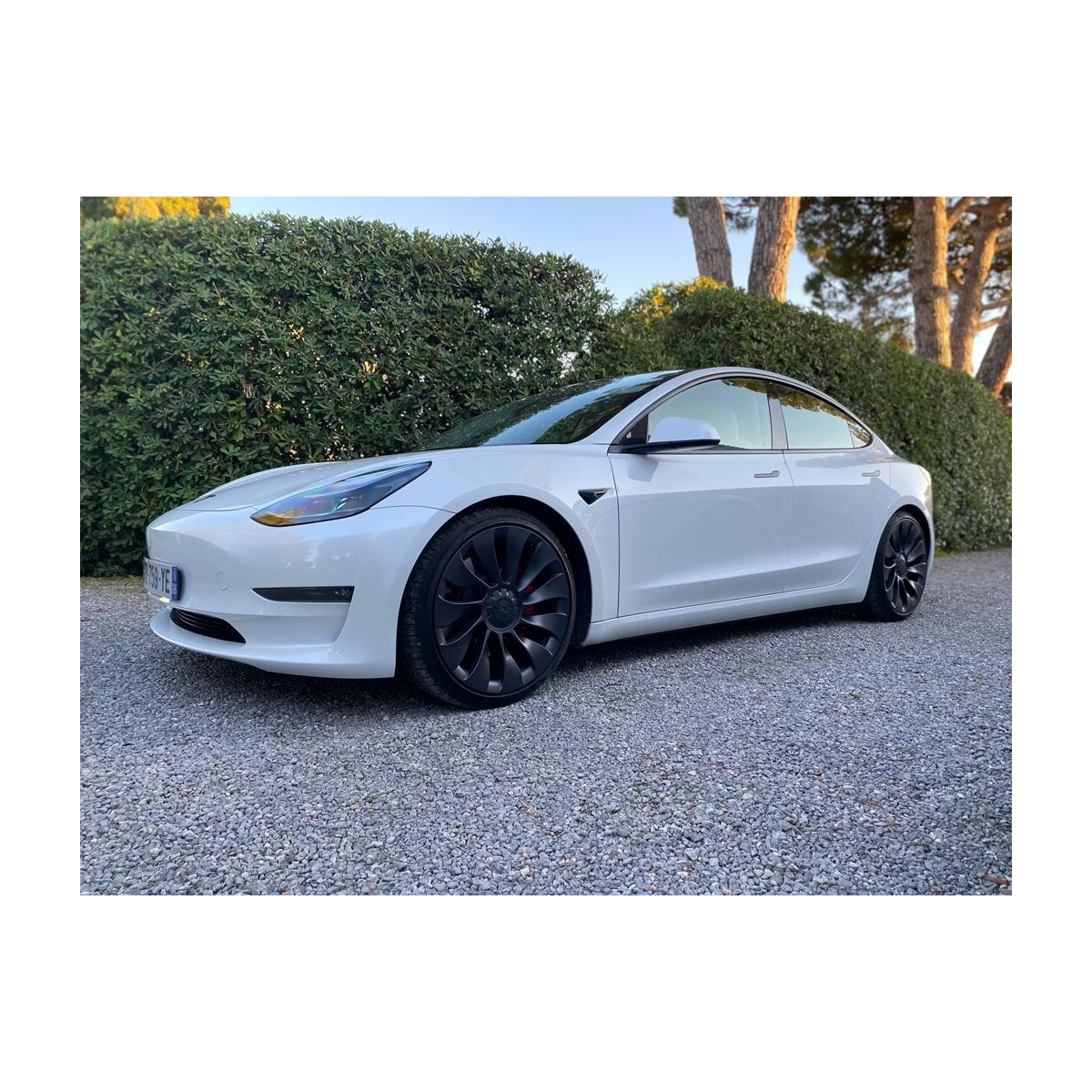 Tesla Krótkie sprężyny AST SUSPENSION dla Model Y