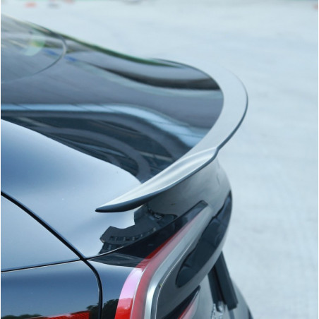 Ludicrous Tesla Model 3 Spoiler in plastica per il 2024+