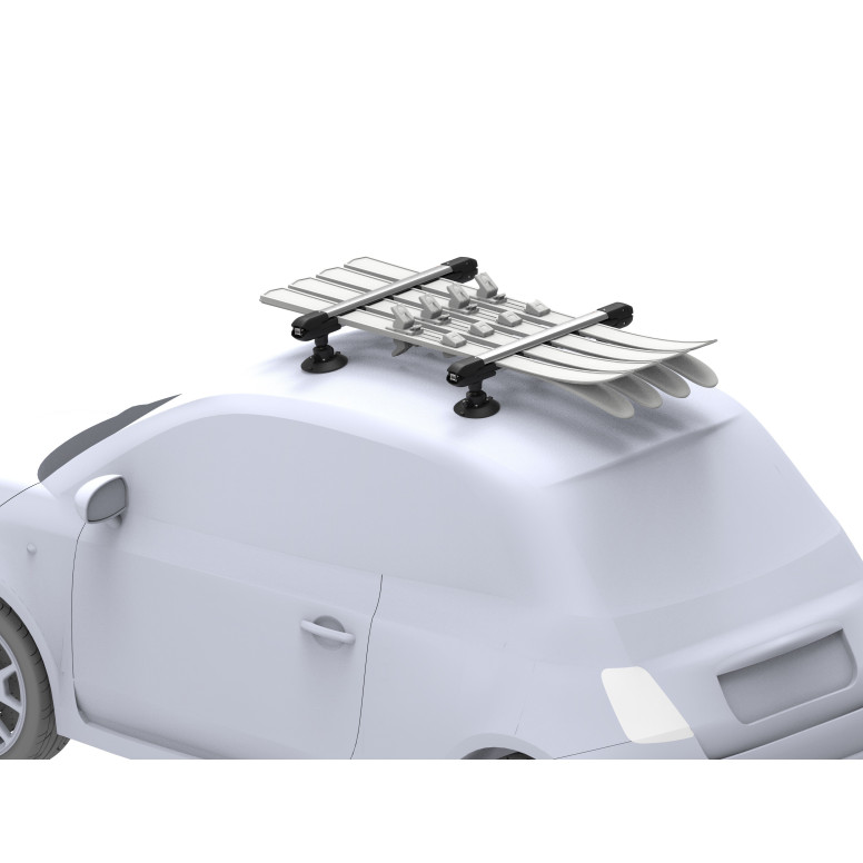 TreeFrog-skistativ og snowboardstativ med sugekopper til Tesla Model 3, Y, S og X