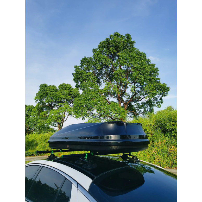 Barras de techo plegables TreeFrog con ventosas para Tesla Model 3, Y, S y X
