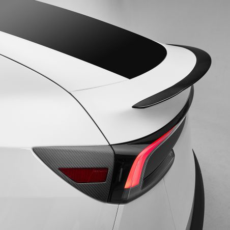 copy of Spoiler alettone Ludicrous per Tesla Model 3 e Model Y