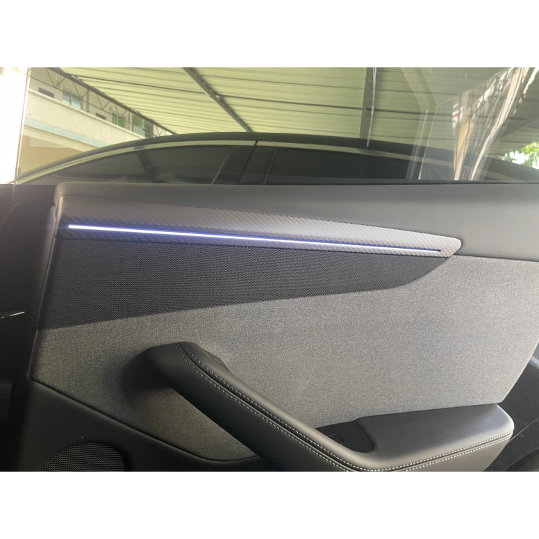copy ofKoolstof inzetstuk voor deurpanelen - Tesla Model 3 en Y 2021+