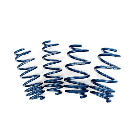 Molle di abbassamento lineari con doppia compressione Per Tesla Model Y - Unplugged Performance