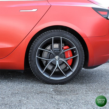 TrackPack style wheels - Tesla Model 3