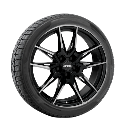 Komplette vinterhjul Skoda Enyaq AT24 19" | GreenDrive