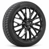 Roți iarnă Tesla Model Y Standard 18" - Jante GPX