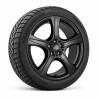 Tesla Model Y Standard 18" Winter Wheels - R55 Rims