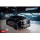Spoiler posteriore in carbonio CMST® - Tesla Model Y