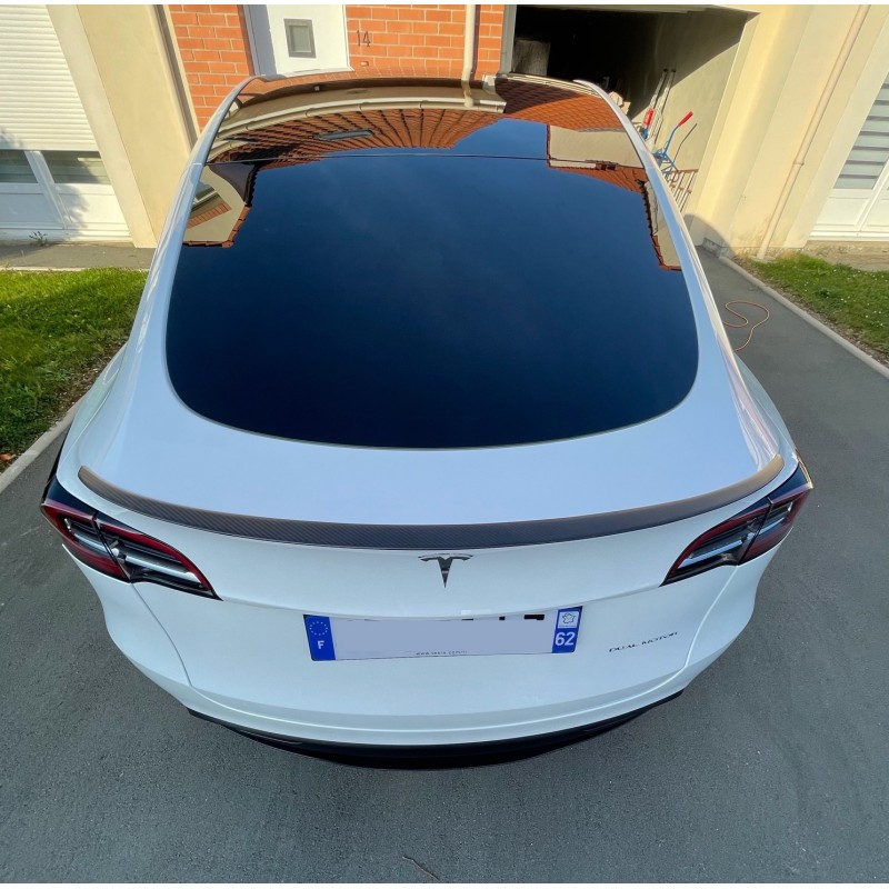 Becquet en fibre de carbone pour Tesla Model Y 2020-2022 Voiture Arrière  Coffre Spoiler Aile Spoiler Style Queue Accessoires automobiles extérieurs