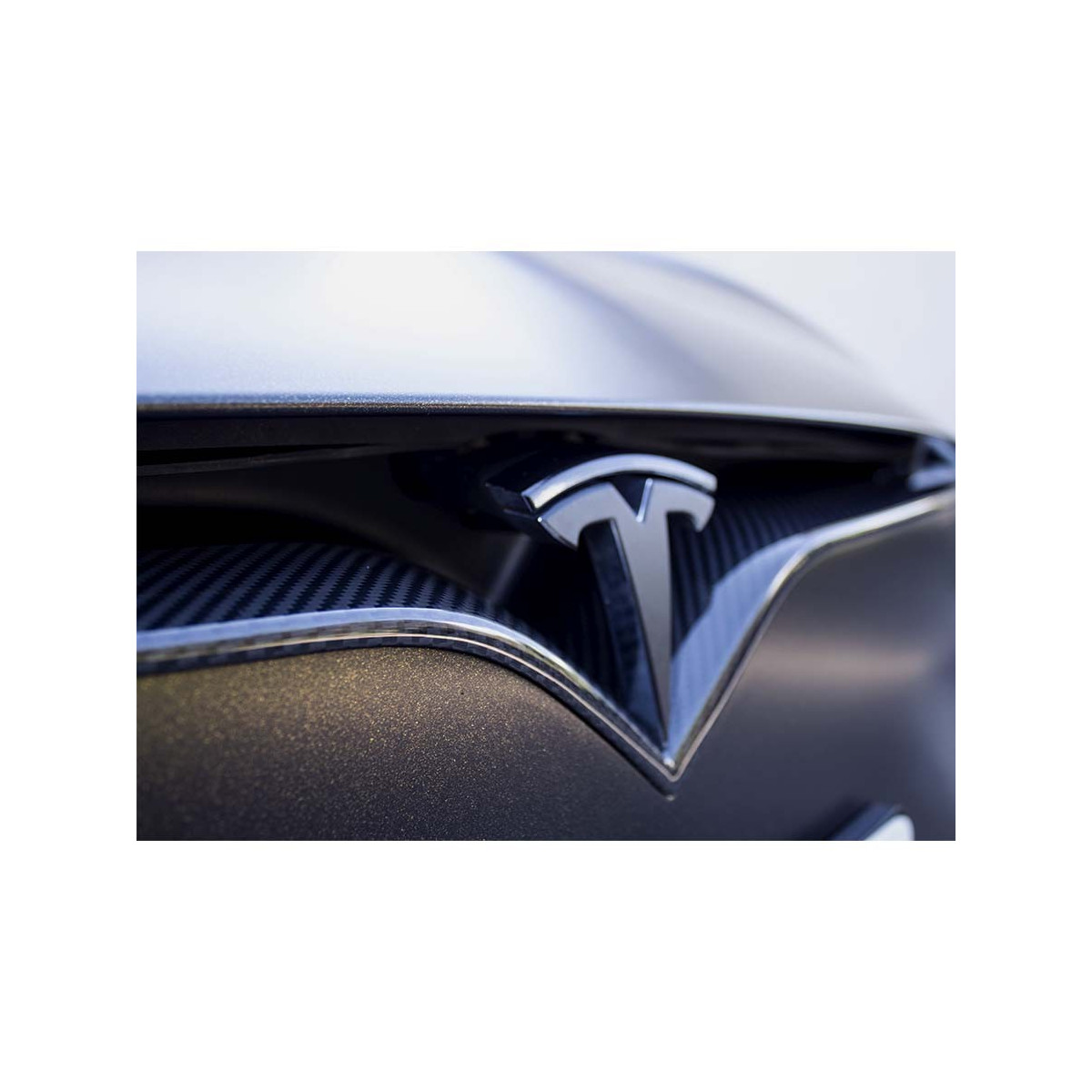 Carbongrille voor Tesla Model S en X (alle generaties)