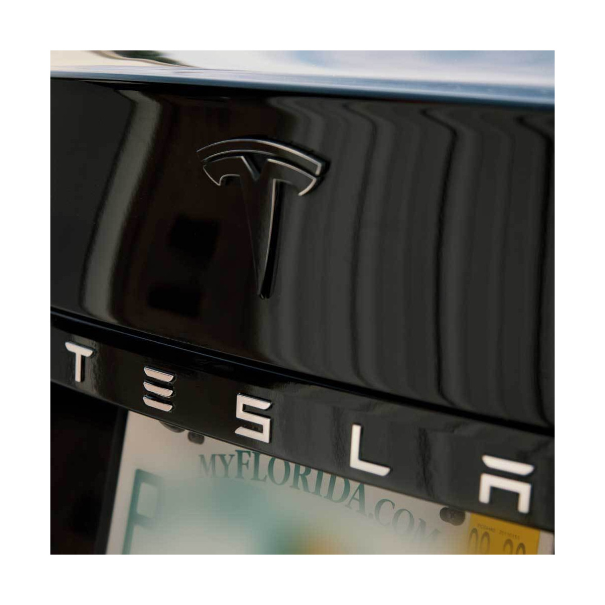 Chrome delete - Tesla Model S