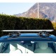 Portaequipajes con ventosas TreeFrog para Tesla Model 3 , Y, S y X