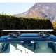 TreeFrog suction cup roof racks for Tesla Model 3 , Y, S and X