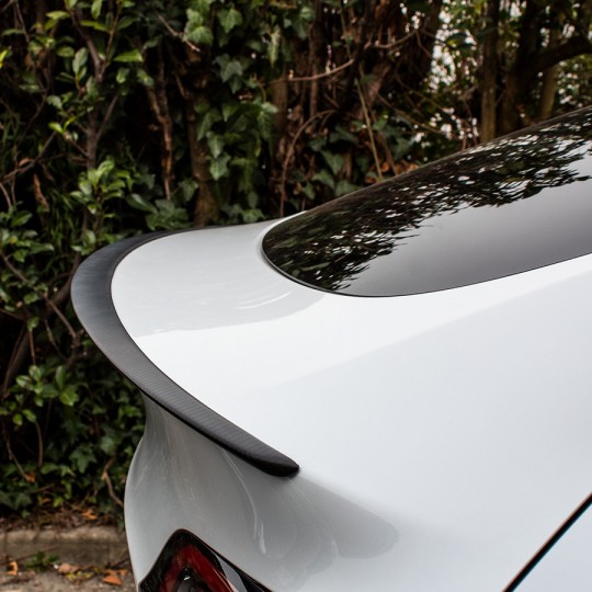 Performance spoiler for Tesla Model Y