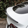 Spojler Performance pre Tesla Model Y 2022-2024