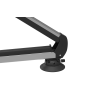 Suport pentru schiuri și snowboarduri cu ventuze TreeFrog pentru Tesla Model 3, Y, S și X