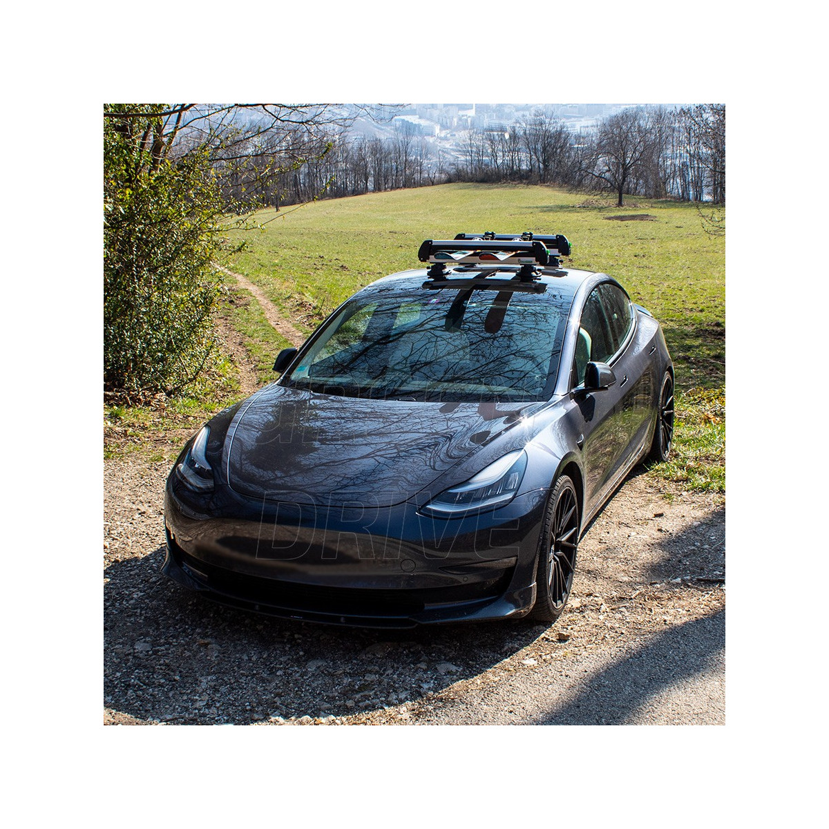 Porta-esquis e snowboards com ventosas TreeFrog para Tesla Model 3, Y, S e X