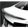 Performance-spoiler Plaid for Tesla Model S