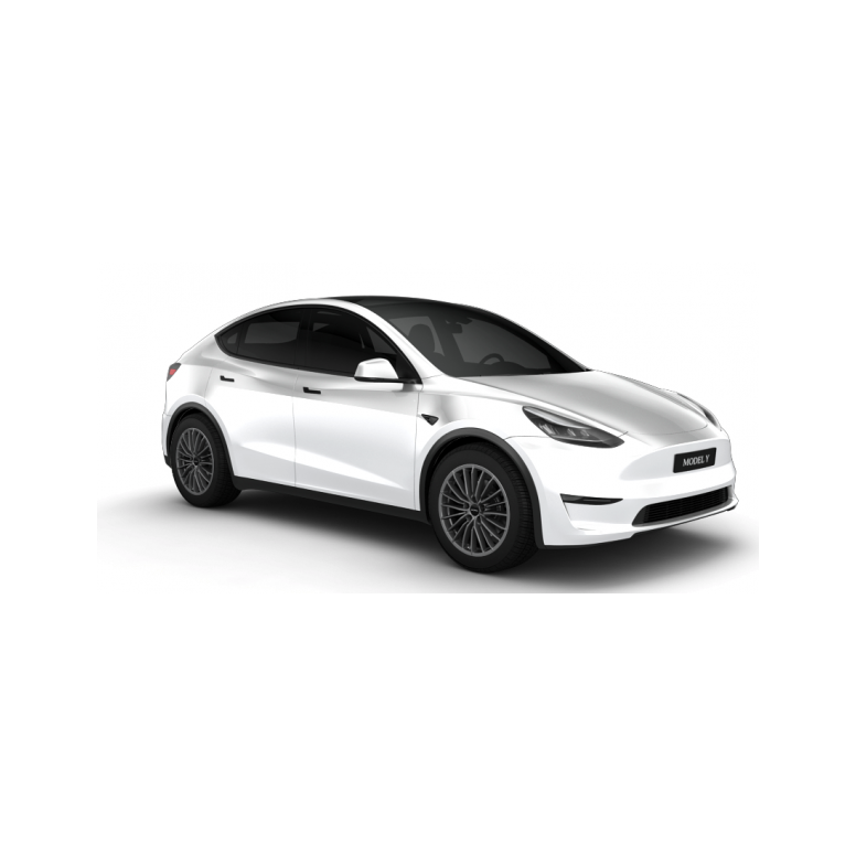 Komplette 19'' vinterhjul til Tesla Model Y med R68-fælge og -dæk (sæt med 4)