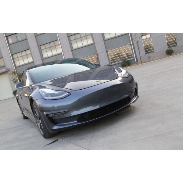 Kühlerschutzgitter Stoßstange für Tesla Model 3