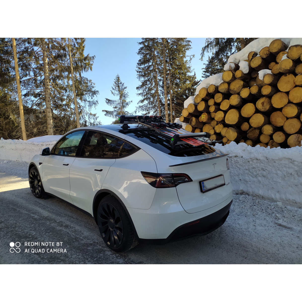 Porta-esquis e snowboards com ventosas TreeFrog para Tesla Model 3, Y, S e X