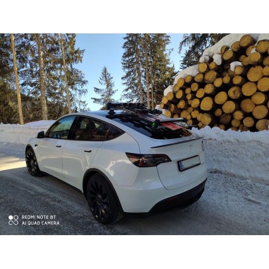 Suporte para esqui e snowboard TreeFrog com ventosas para Tesla Model 3 , Y, S e X