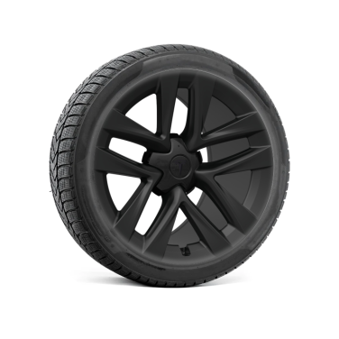 Komplette Winterräder für Tesla Model S LR & Plaid – Arachnid-Felgen mit Reifen (4er-Set)