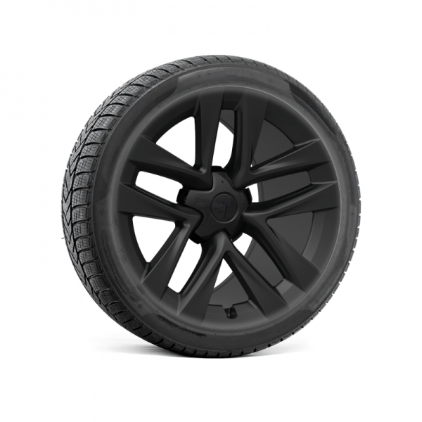 Premonition sygdom Overfladisk Komplette vinterhjul til Tesla Model S LR & Plaid - Arachnid fælge med dæk ( sæt med 4)