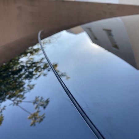 ACAMPTAR Sunroof Seals Windshield Noise Reduction Seals for Tesla Model 3 2017-2019 