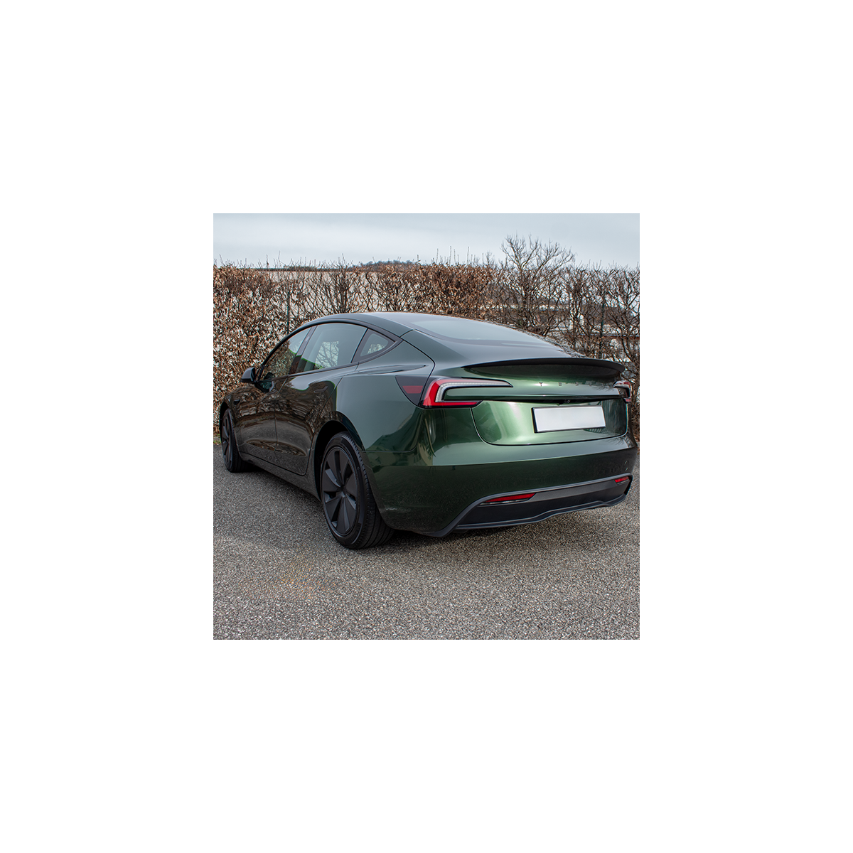 Alerón Performance - Tesla Model 3