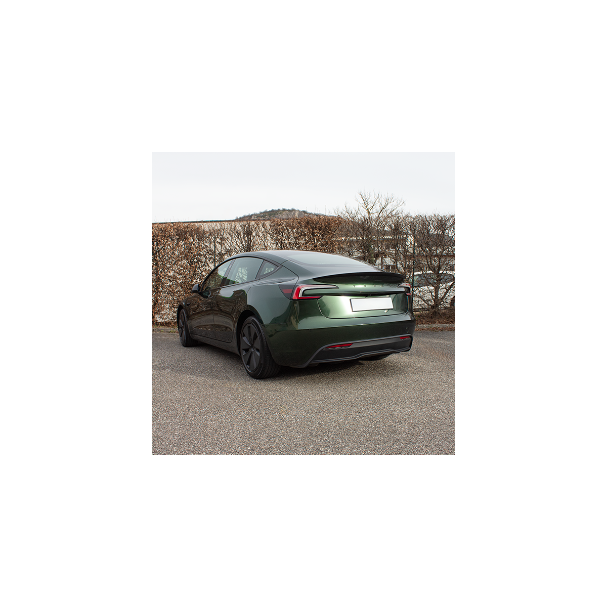 Alerón Performance - Tesla Model 3