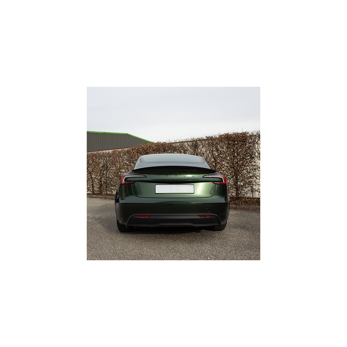Alerón Performance - Tesla Model 3