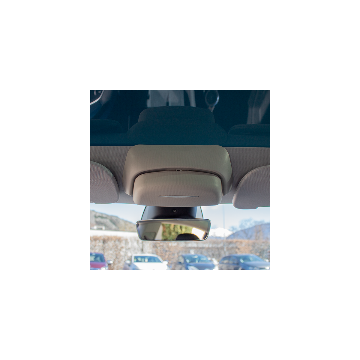 Portaocchiali da plafoniera per Tesla Model 3 e Model Y