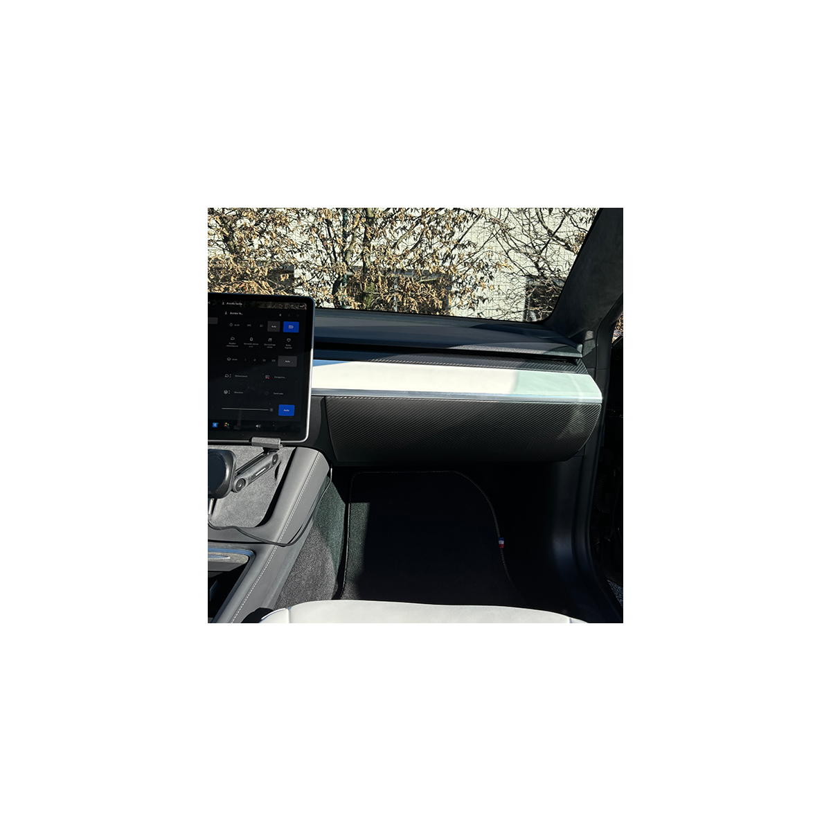 Carbon handskeboksskal til Tesla Model 3 og Model Y