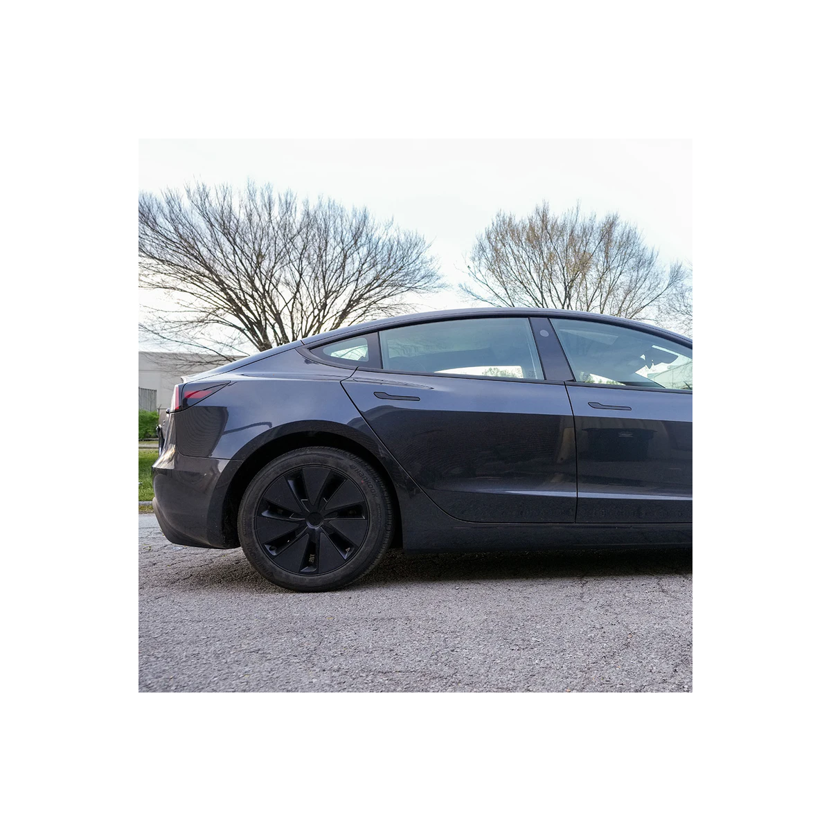 PPF Mini edition vippepanel for Tesla Model 3