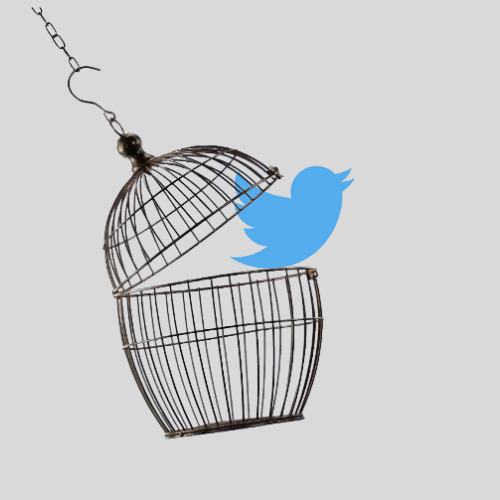 Elon Musk's Acquisition of Twitter