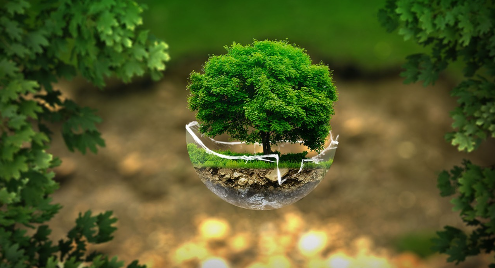 Tesla 2023 Impact Report: A Sustainable Future in Reach